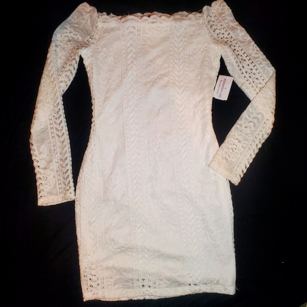 Windsor NWT lace bodycon dress